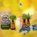 19 Best Gifts for Plant Lovers and Gardeners (2026)