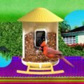 The Smart Bird Feeders Everyone’s Talking About (and Actually Buying) (2026)