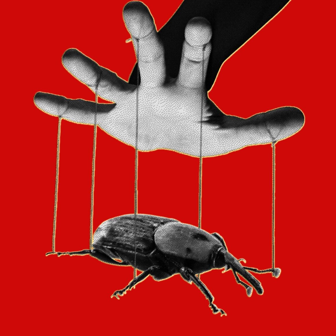 The PHP Meltdown Shows How AI Makes Bugs More Exploitable